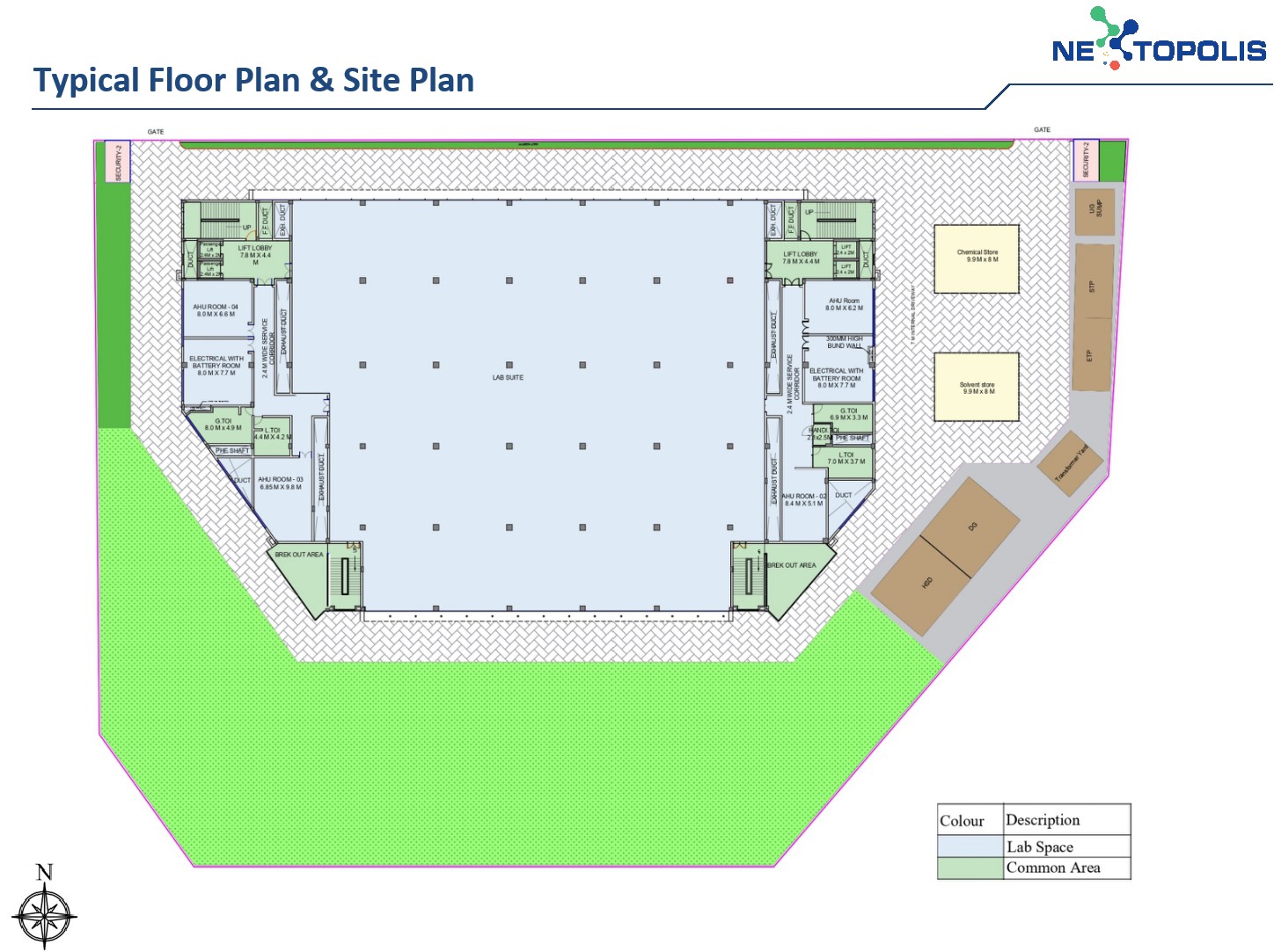 layout